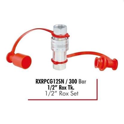 RXRPCG12SN / 300 Bar 1/2” Rox Takım resmi